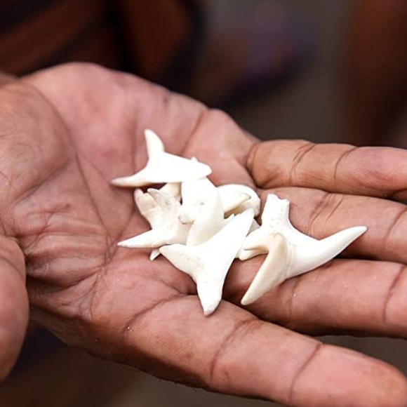 VACRONA 18k Gold Plated Shark Tooth Necklace - Picture 5 of 6